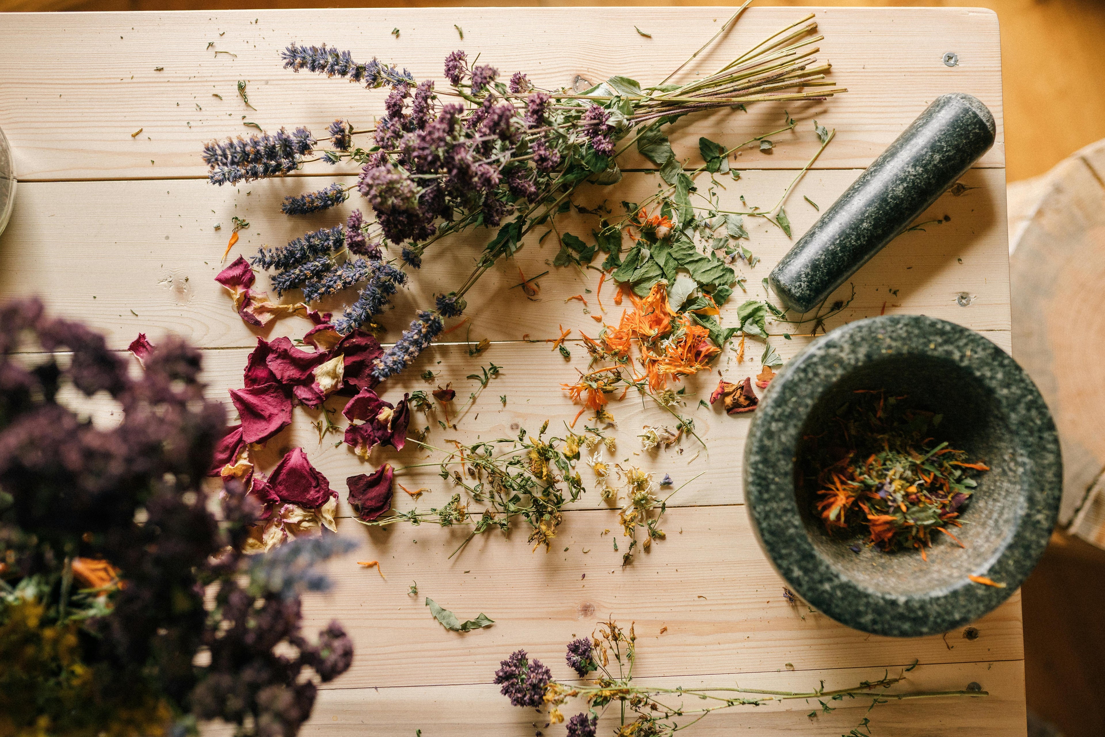 Health & Wellness