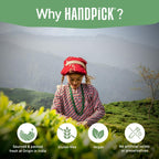 HANDPICK, Organic Hibiscus Tea Bags (100 Tea Bags) | Caffeine-Free, 100% Natural Pure Indian Hibiscus Flowers | Ayurvedic Benefits in every sip
