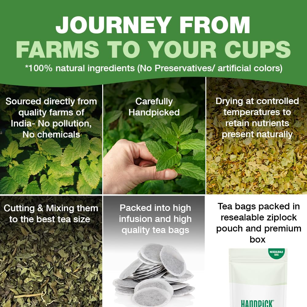HANDPICK, Organic Hibiscus Tea Bags (100 Tea Bags) | Caffeine-Free, 100% Natural Pure Indian Hibiscus Flowers | Ayurvedic Benefits in every sip